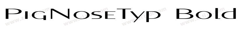 PigNoseTyp Bold Bold字体转换